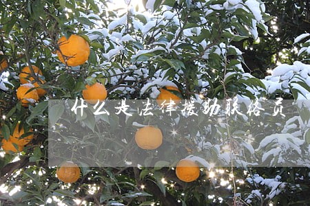 什么是法律援助联络员