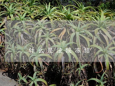 什么是法院冻结 什么是法院冻结