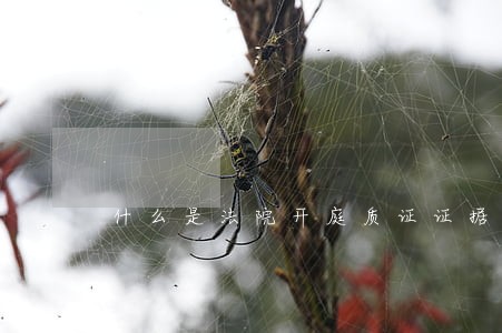 什么是法院开庭质证证据 什么是法院开庭质证证据