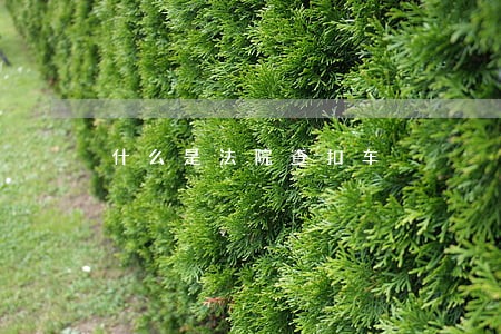 什么是法院查扣车 什么是法院查扣车