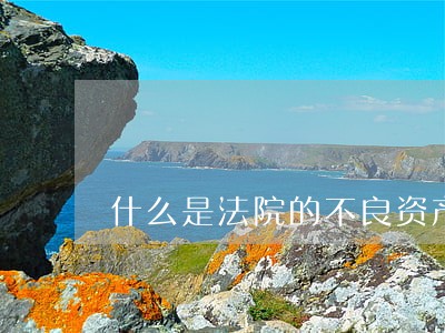 什么是法院的不良资产