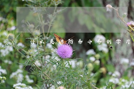 什么是消防条令条例学习 什么是消防条令条例学习