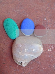 什么是环境公益诉讼基金 什么是环境公益诉讼基金