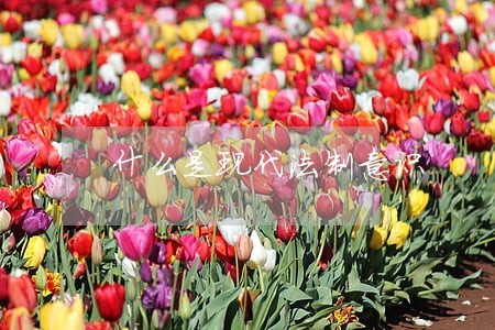 什么是现代法制意识 什么是现代法制意识