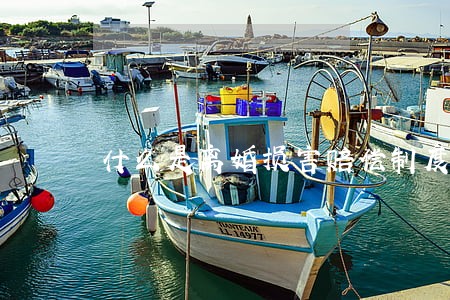 什么是离婚损害赔偿制度