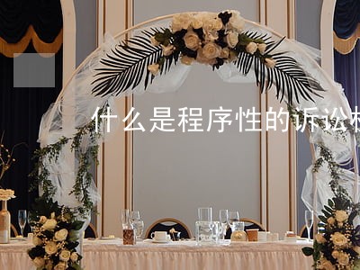 什么是程序性的诉讼权利 什么是程序性的诉讼权利