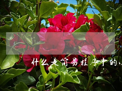 什么是简易程序中的小额诉讼程序