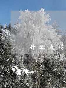 什么是聘用律师 什么是聘用律师