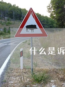 什么是诉讼全保 什么是诉讼全保