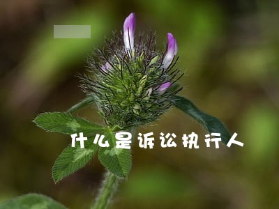 什么是诉讼执行人 什么是诉讼执行人