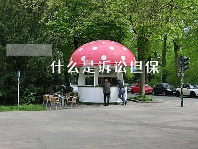 什么是诉讼担保 什么是诉讼担保