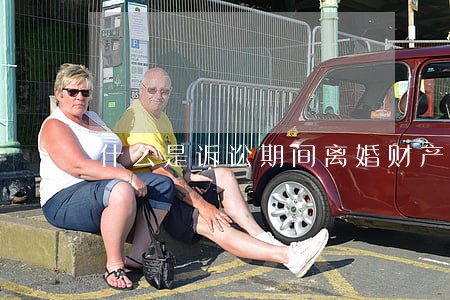 什么是诉讼期间离婚财产的撤销权 什么是诉讼期间离婚财产的撤销权