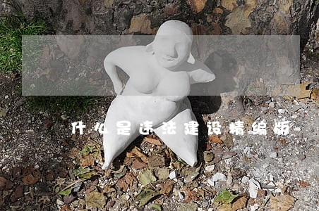 什么是违法建设精编版 什么是违法建设精编版