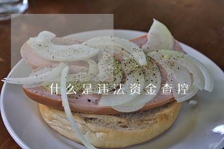 什么是违法资金查控 什么是违法资金查控