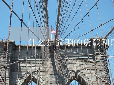什么是逾期的贷款利息收入 什么是逾期的贷款利息收入