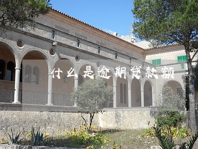 什么是逾期贷款额