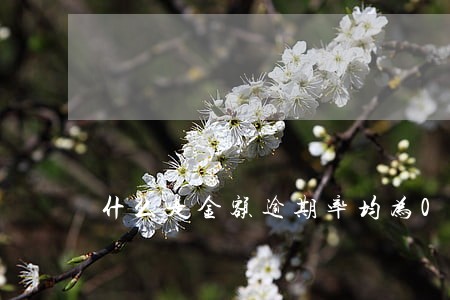 什么是金额逾期率均为0 什么是金额逾期率均为0