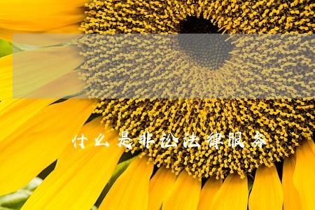 什么是非讼法律服务 什么是非讼法律服务