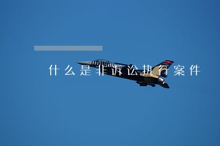 什么是非诉讼执行案件 什么是非诉讼执行案件