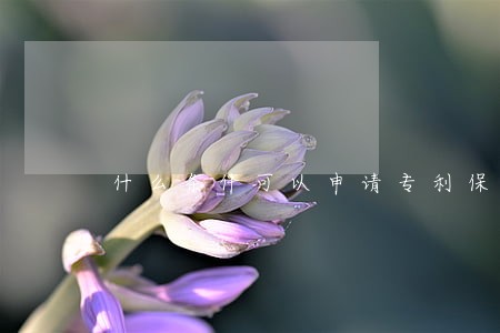 什么条件可以申请专利保护 什么条件可以申请专利保护