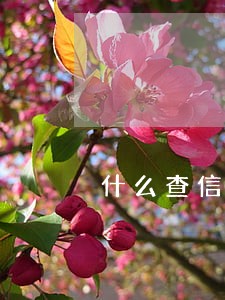 什么查信用卡有没有逾期