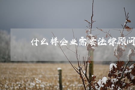 什么样企业需要法律顾问 什么样企业需要法律顾问