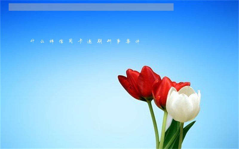 什么样信用卡逾期刑事案件 什么样信用卡逾期刑事案件