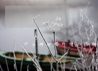 什么样的婚外情证据能被法院采信 什么样的婚外情证据能被法院采信