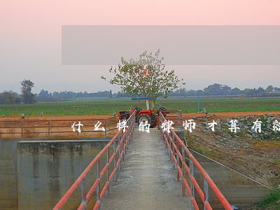 什么样的律师才算有效的法律顾问