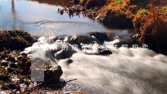 什么样的房子会被法院拍卖 什么样的房子会被法院拍卖