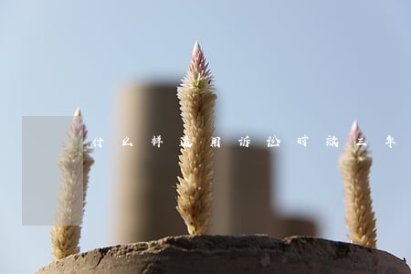 什么样适用诉讼时效三年 什么样适用诉讼时效三年