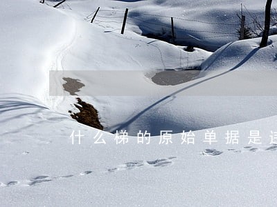 什么梯的原始单据是违法皈 什么梯的原始单据是违法皈