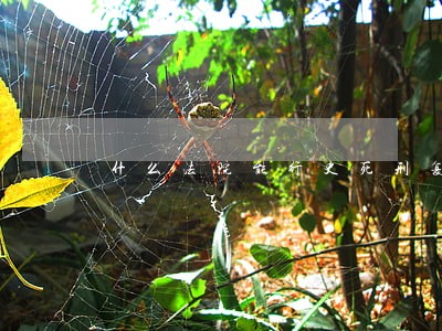 什么法院能行史死刑复核权 什么法院能行史死刑复核权
