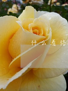 什么看信用卡逾期天数 什么看信用卡逾期天数