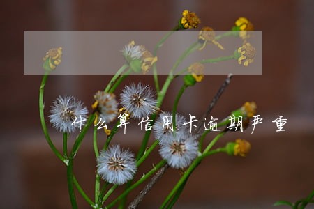 什么算信用卡逾期严重 什么算信用卡逾期严重