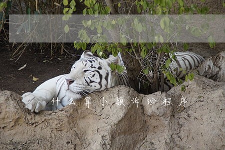 什么算小额诉讼程序 什么算小额诉讼程序