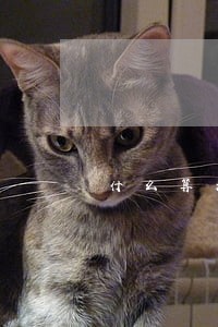 什么算是信用逾期 什么算是信用逾期