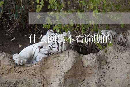 什么网贷不看逾期的