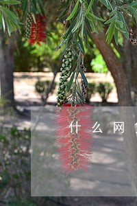 什么网贷跟信用卡逾期没关系 什么网贷跟信用卡逾期没关系