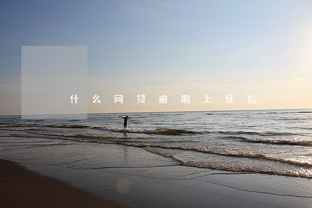 什么网贷逾期上征信 什么网贷逾期上征信