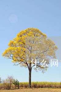 什么网贷逾期不影响征信 什么网贷逾期不影响征信