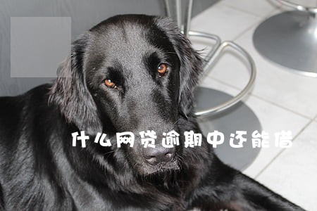 什么网贷逾期中还能借 什么网贷逾期中还能借
