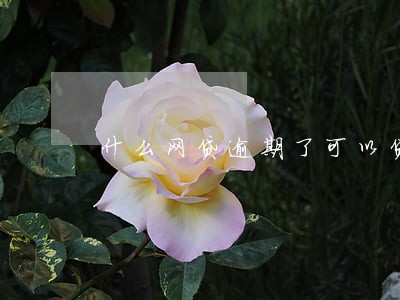 什么网贷逾期了可以贷 什么网贷逾期了可以贷