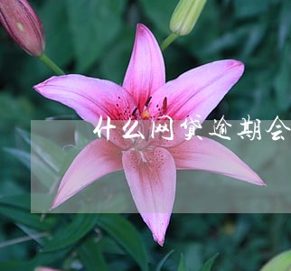 什么网贷逾期会上门