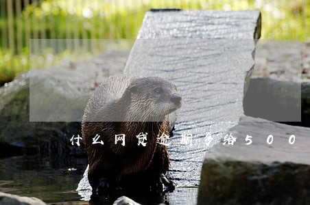 什么网贷逾期多给500 什么网贷逾期多给500
