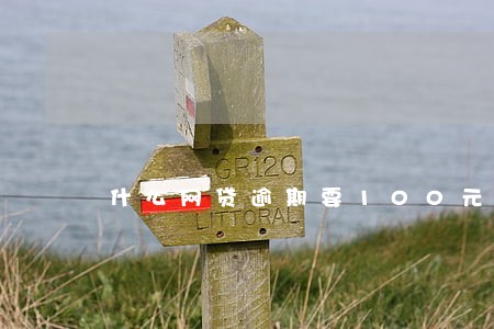 什么网贷逾期要100元 什么网贷逾期要100元
