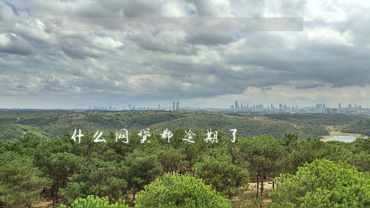 什么网贷都逾期了 什么网贷都逾期了