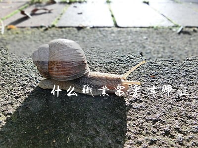 什么职业需要律师证 什么职业需要律师证