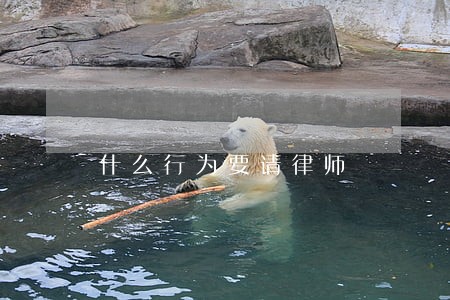 什么行为要请律师 什么行为要请律师