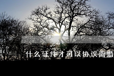 什么证件才可以协议离婚 什么证件才可以协议离婚